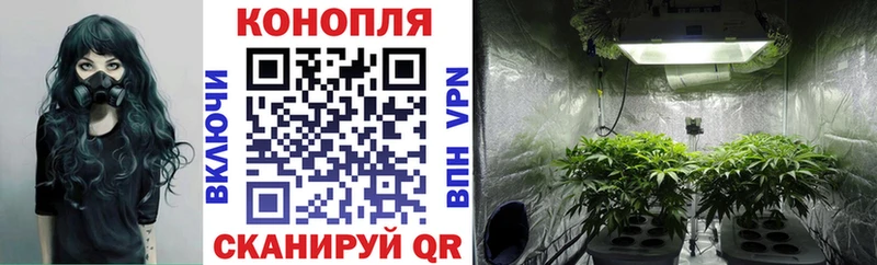 Магазины продажи наркотиков Звенигород COCAIN  MDMA  Канабис  Меф мяу мяу  Альфа ПВП 