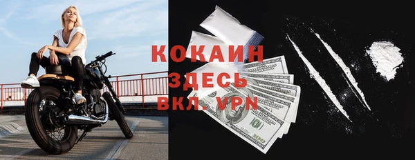 гидра Лагань