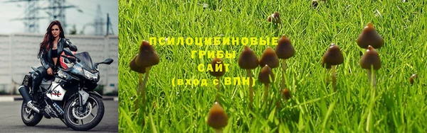 MESCALINE Лабытнанги