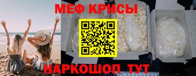 кокс Гатчина