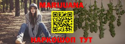 кокс Гатчина