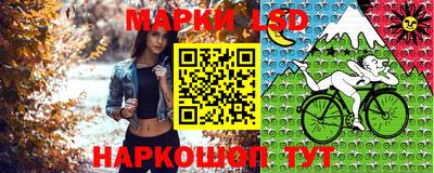 кокс Гатчина
