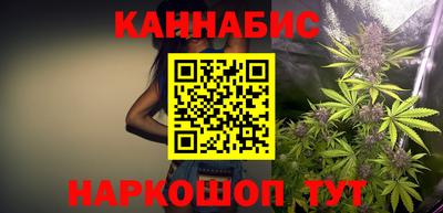 кокс Гатчина