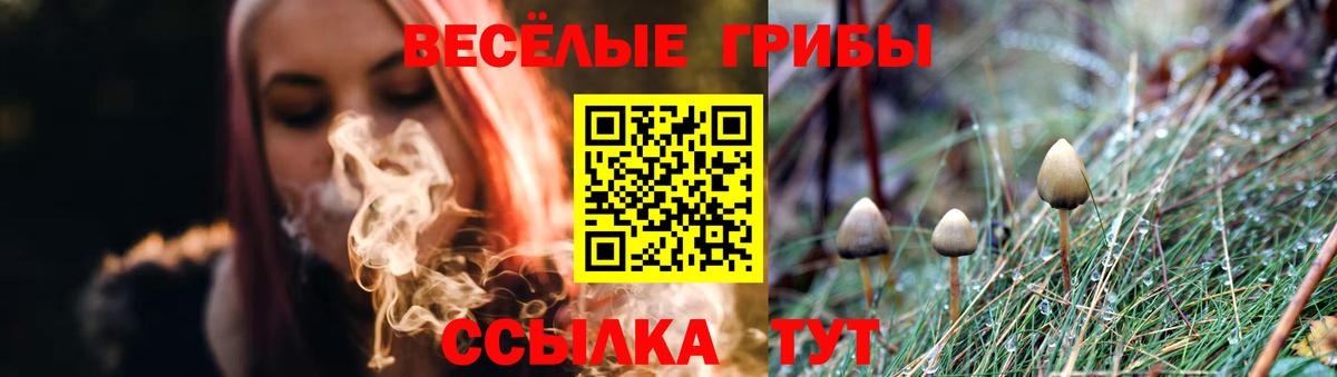 Псилоцибиновые грибы мицелий  Псилоцибиновые грибы ЛСД  Вход с VPN  Звенигород 